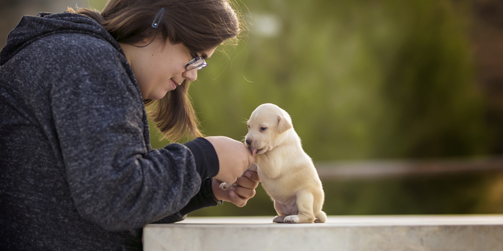 Adinos Ecociencia sesion perritos Sesión fotográfica Adinor y Ecociencia